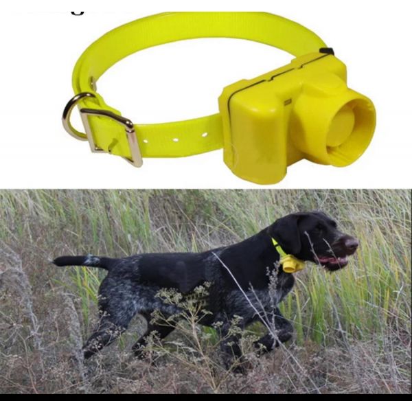  Hunting Dog Beeper Chargable Dog Training Collar Waterproof Dog Training Equipment Pet Electric Collar Beep Clicker
